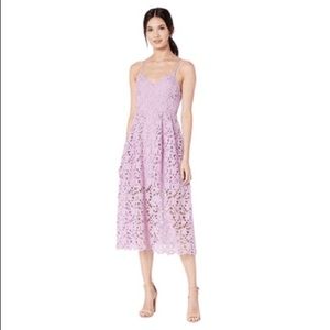 ASTR the Label Lace Midi-dress from Nordstrom